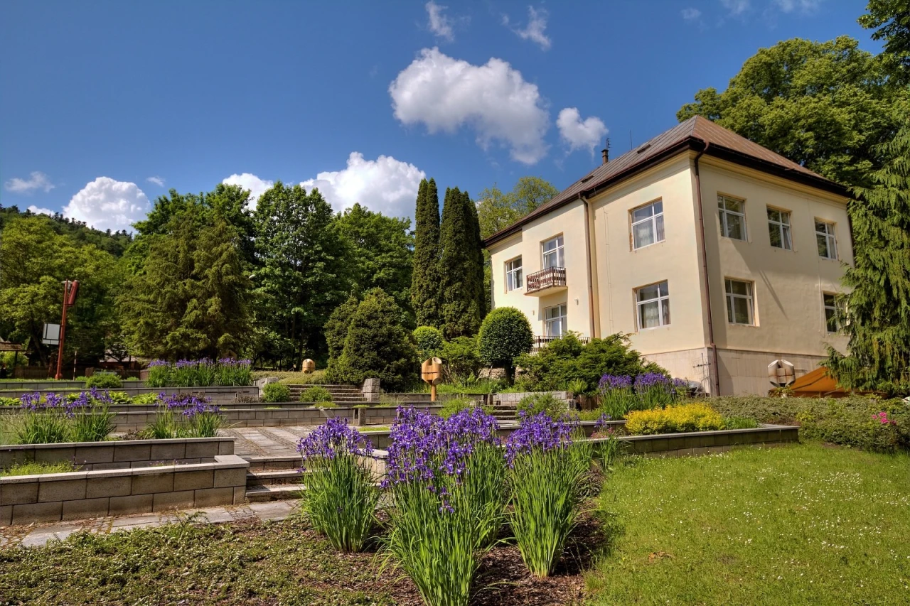 VILKY ETA, MARÍNA, EVA, SRNKA, MIGNON